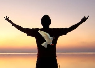 Holy Spirit Dove : Indwelling Presence of the Holy Spirit