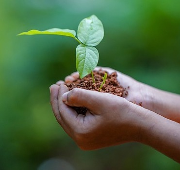 Seedling in Hands : Spiritual Growth Opportunities