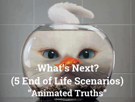 What's Next? Five Possible End of Life Scenarios